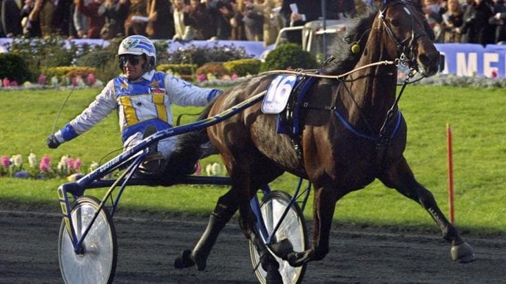 Varenne è morto, addio al cavallo trottatore più forte di tutti i tempi