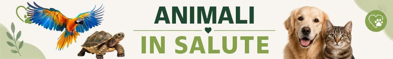 Animali in salute