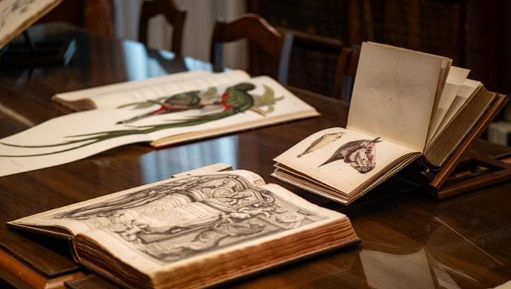 Il tesoro nascosto del ministero: centinaia di libri preziosi sui cavalli