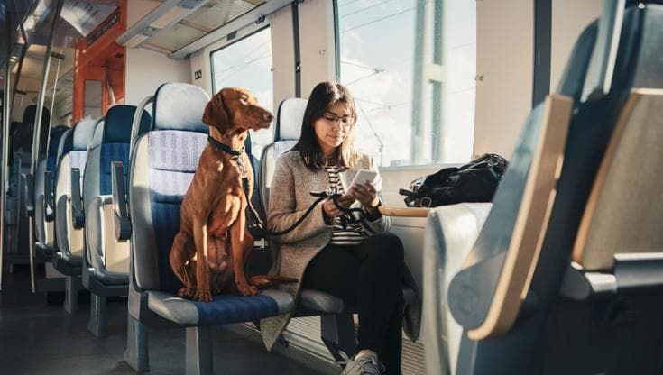 In vacanza con il 4 zampe: percorsi con Ita inaccessibili per i costi. Nave e treno ok