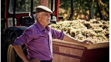 È morto Emidio Pepe, il rivoluzionario del vino abruzzese