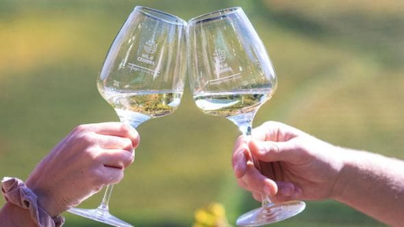 Val di Cembra, alla scoperta del vino che racconta la montagna eroica