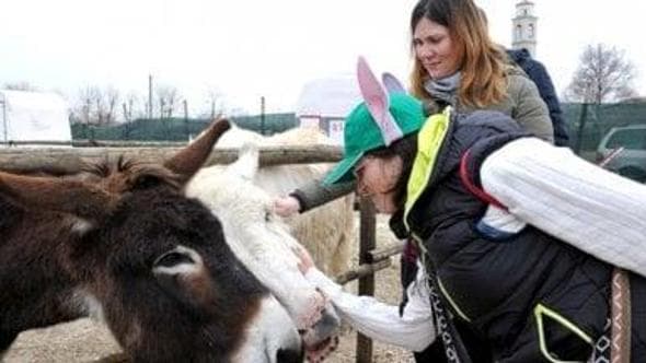 Antica Fiera di Godega, quando l'asino è la star