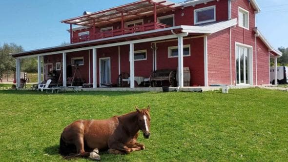 Quel pezzo di west della Maremma laziale che ricorda gli Usa