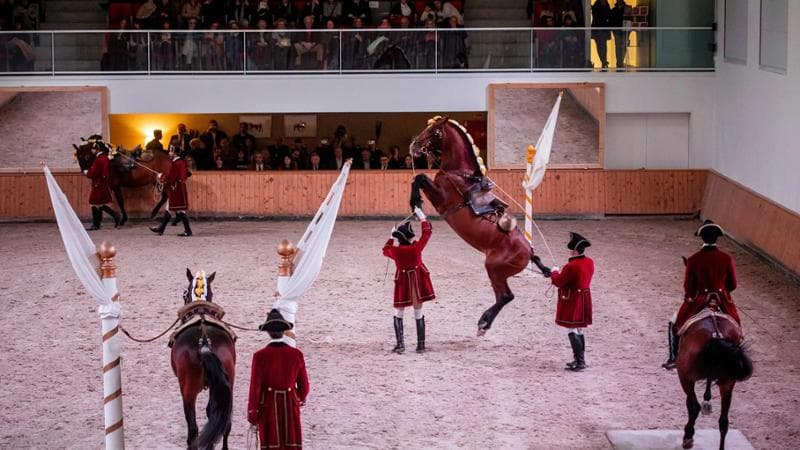 L’arte equestre portoghese patrimonio dell’umanità, ora c’è il timbro Unesco
