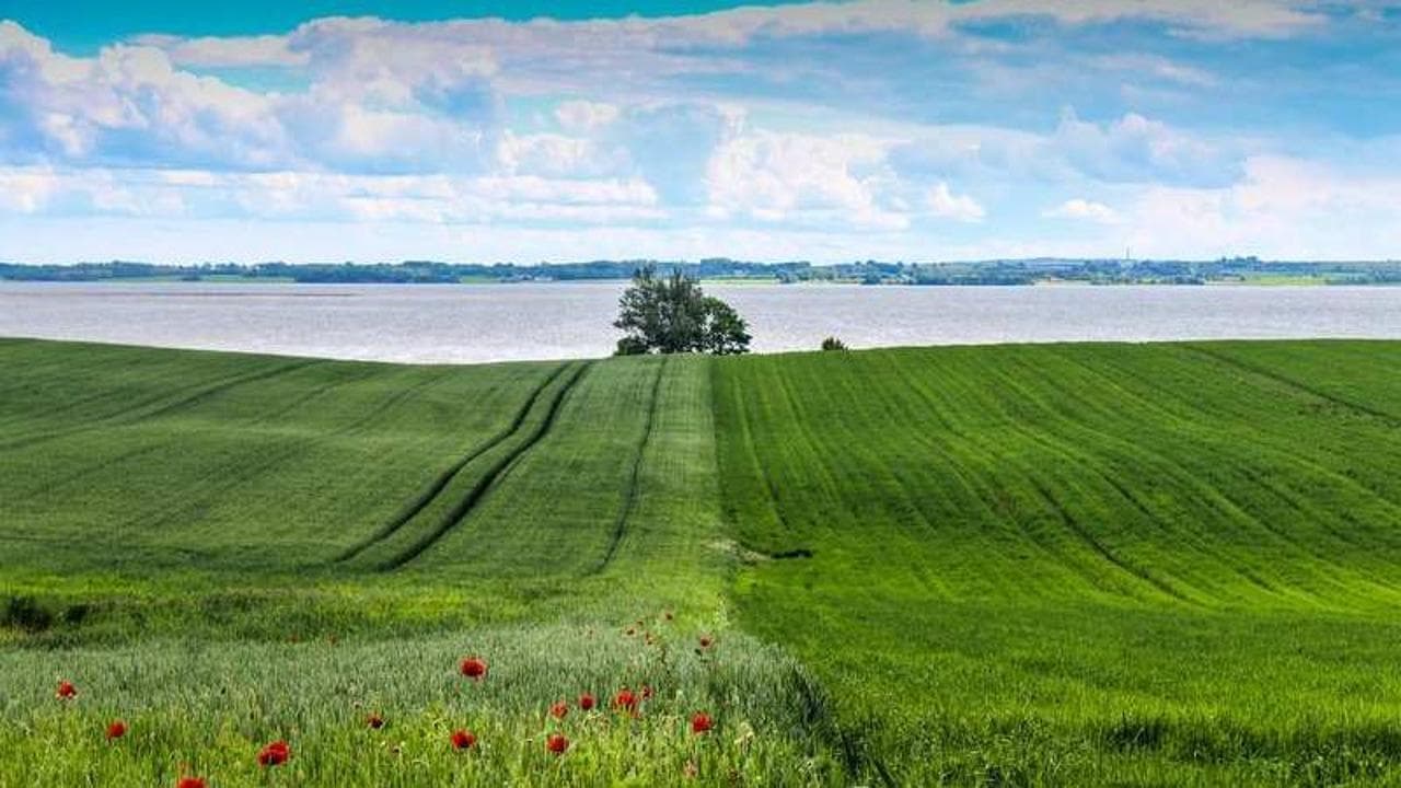 La Danimarca segreta tra troll e foche. Ecco un itinerario da sogno dove non arrivano gli italiani